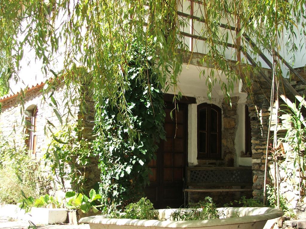 Chao Da Lousa Dornes Exterior foto