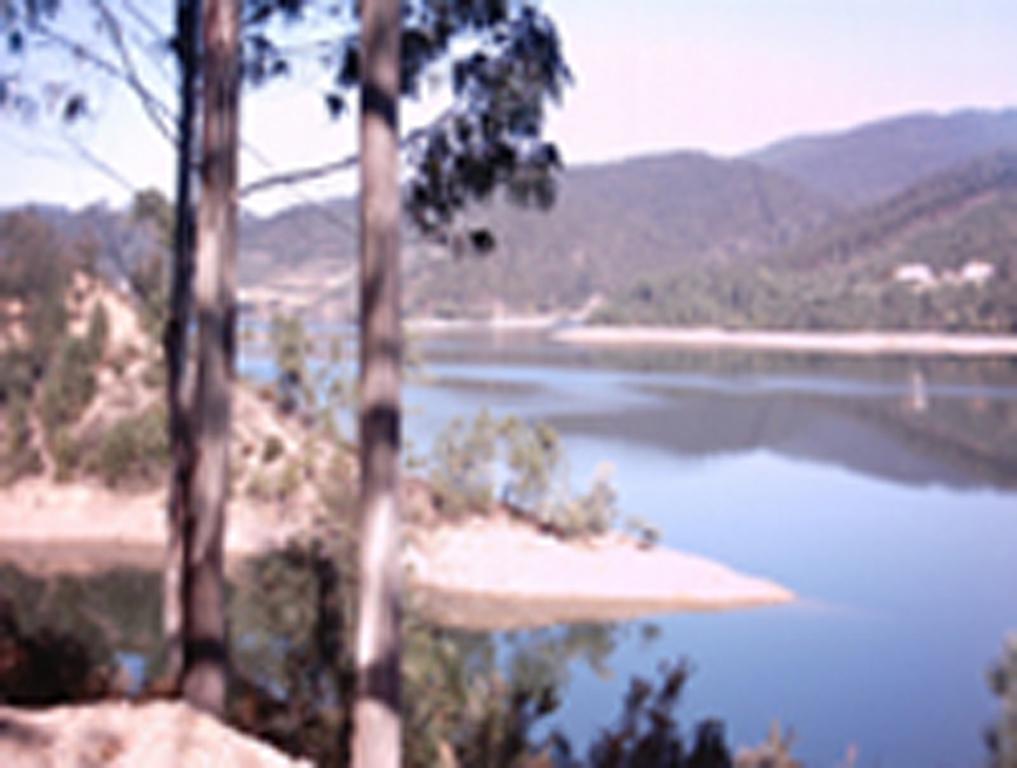 Chao Da Lousa Dornes Exterior foto