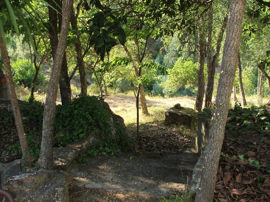 Chao Da Lousa Dornes Exterior foto